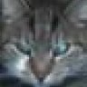 carocat