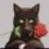 gatita