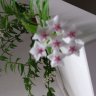 Birgit63
