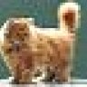 GizmoMA