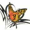 Melodia