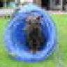 Schnuffel