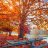 autumnlady