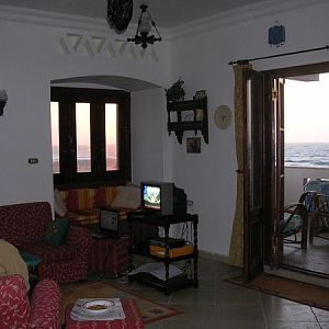 795.jpg