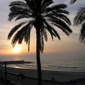 el-arisch. eine kleine stadt fast an der grenze zwischen aegypten und isreal.