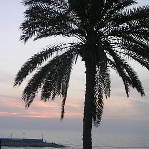 1132.jpg