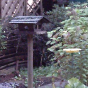 Mein Garten