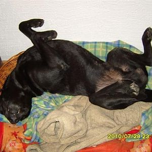 bilder