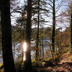 Natur