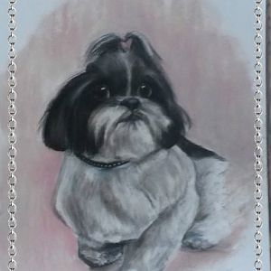Darcy3