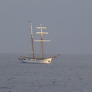 DSCI0223