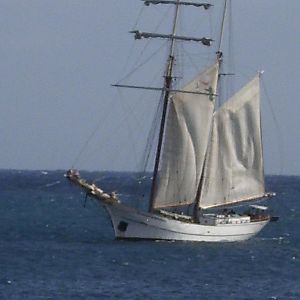 DSCI0276