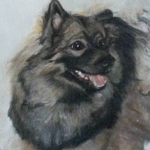 12063464 964645353625023 7346199262998173502 n (2)