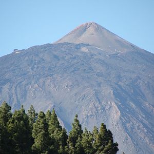 IMG 4801