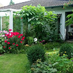 Garten1