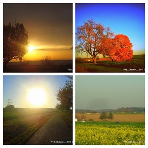 36-DSC02534-COLLAGE